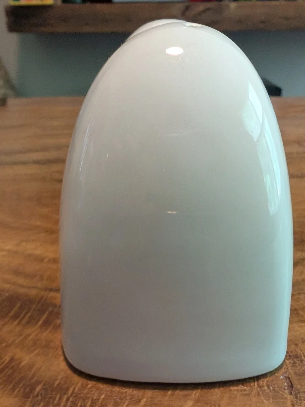 Pier 1 White Ceramic Salt and Pepper Shakers